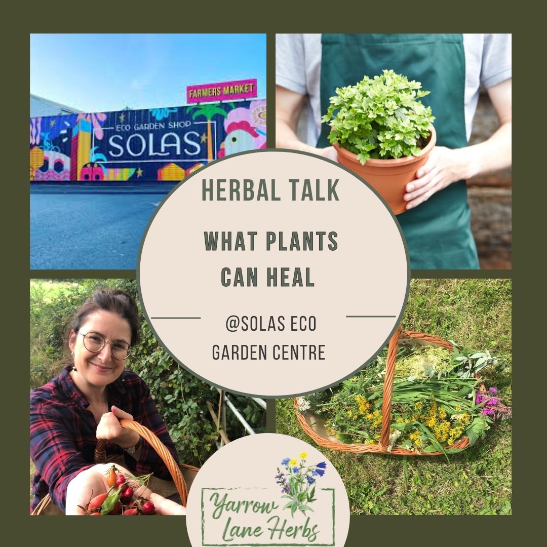 Herbal Talk with Laura Darcy
