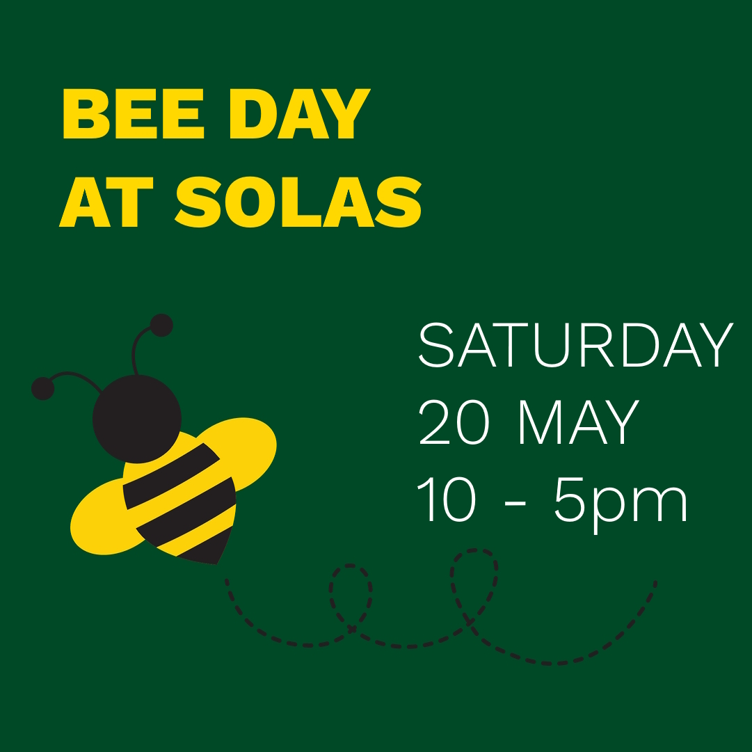 Bee keeping Event , Art, Markets & Food: A Weekend Extravaganza @ SOLAS