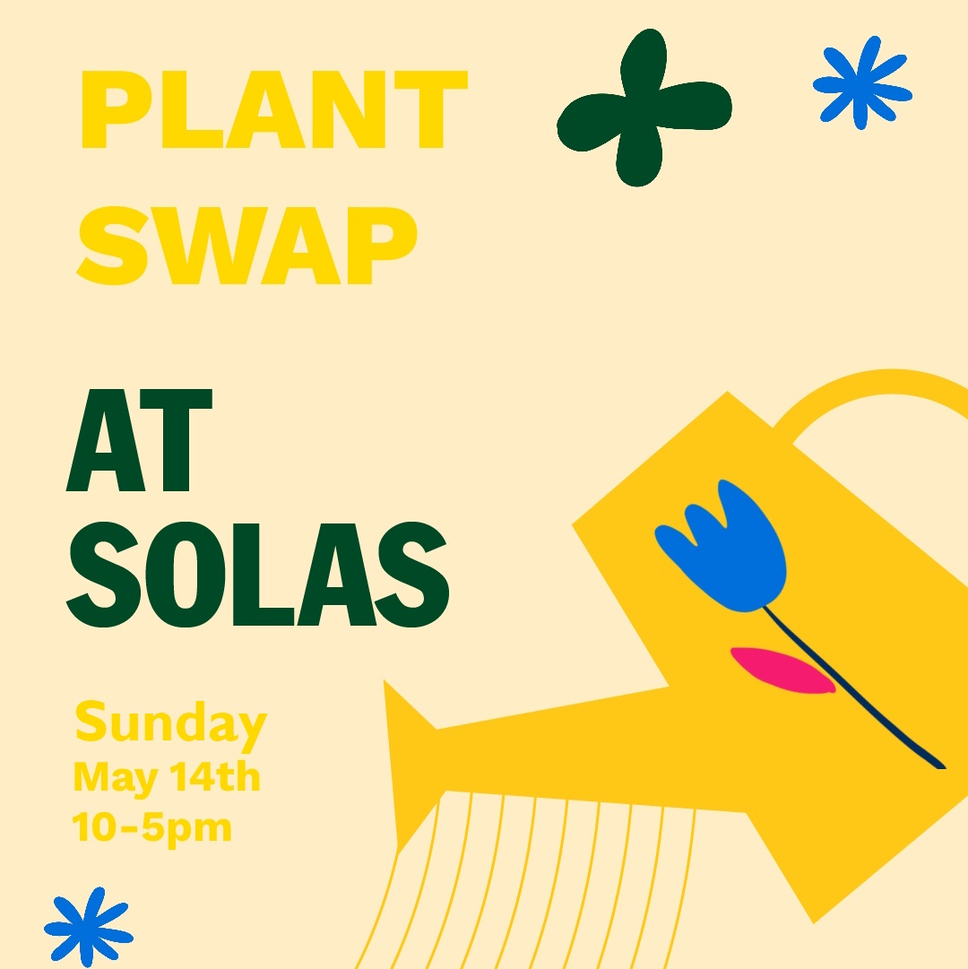 Fun-Filled Summer @ SOLAS: Plant Swap & Milkshakes